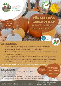 Családi program az őszi szünetre