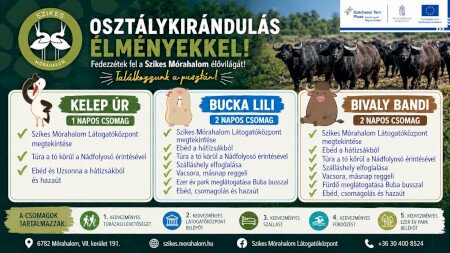 Osztálykirándulások élményekkel!
